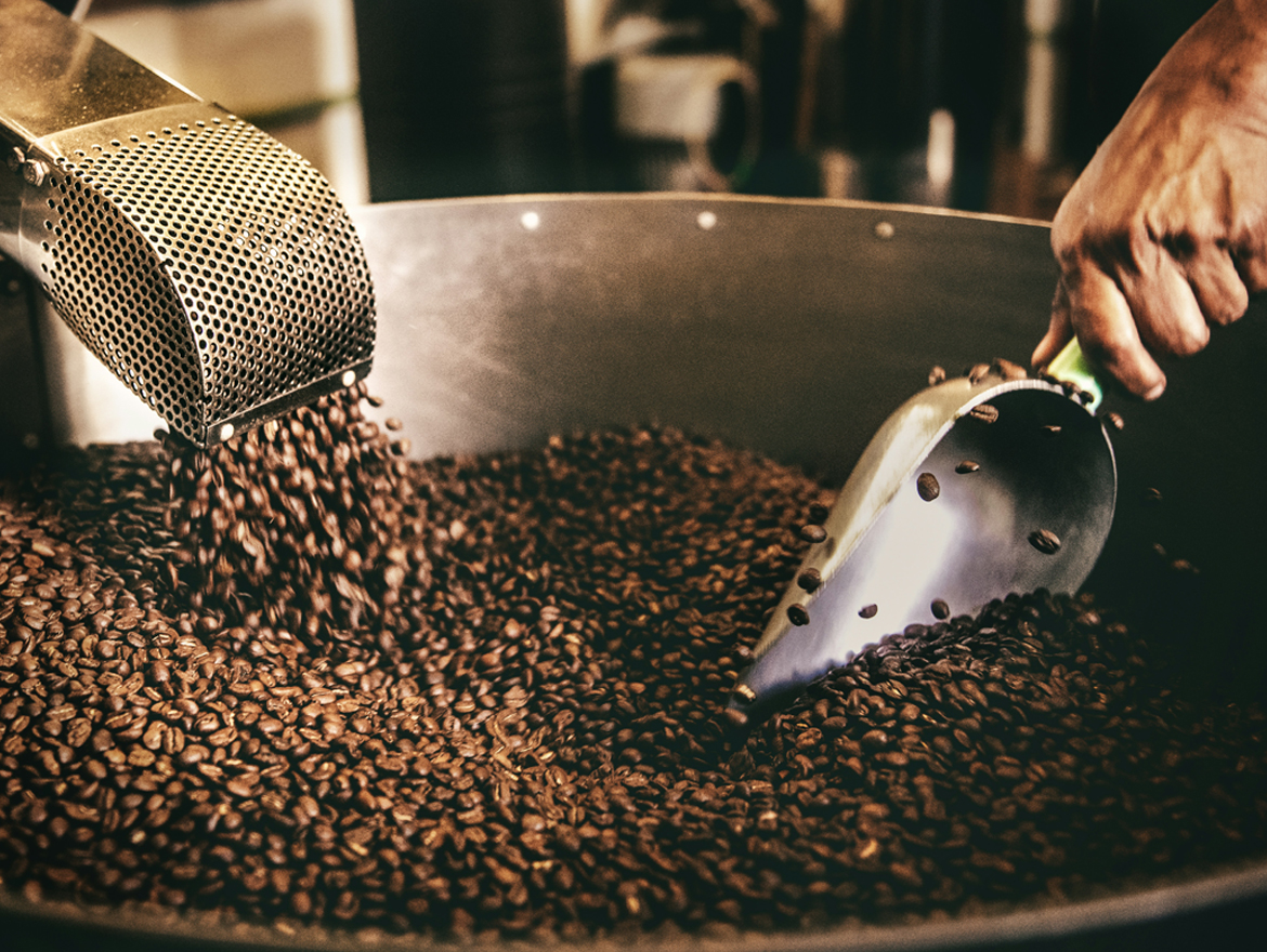 amazing caves coverimage