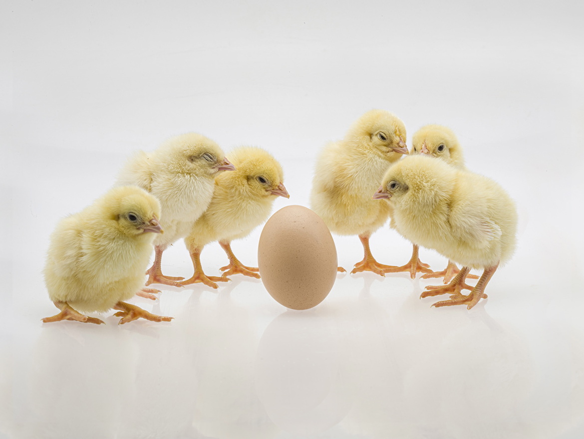 amazing caves coverimage